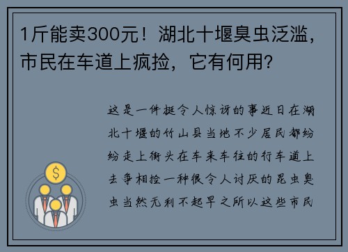 1斤能卖300元！湖北十堰臭虫泛滥，市民在车道上疯捡，它有何用？