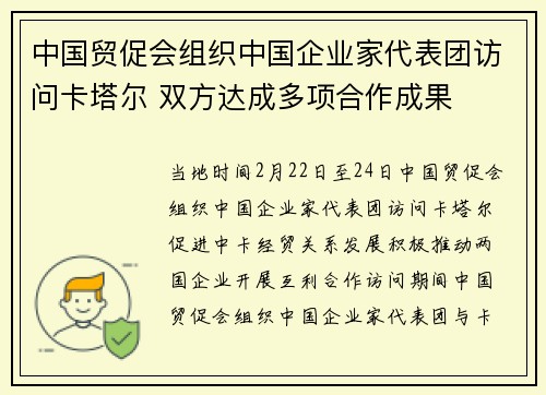 中国贸促会组织中国企业家代表团访问卡塔尔 双方达成多项合作成果